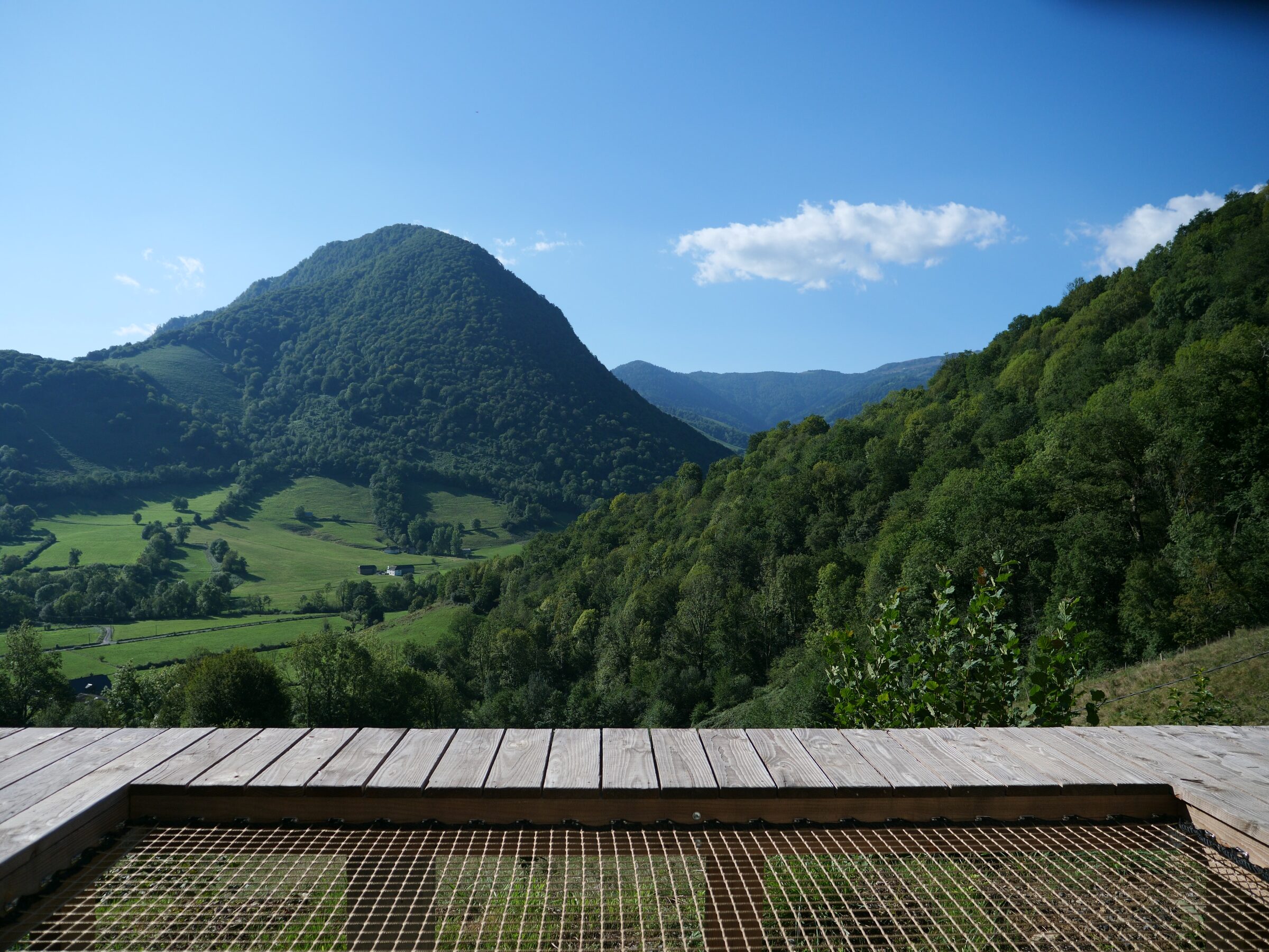 Le filet et la vue